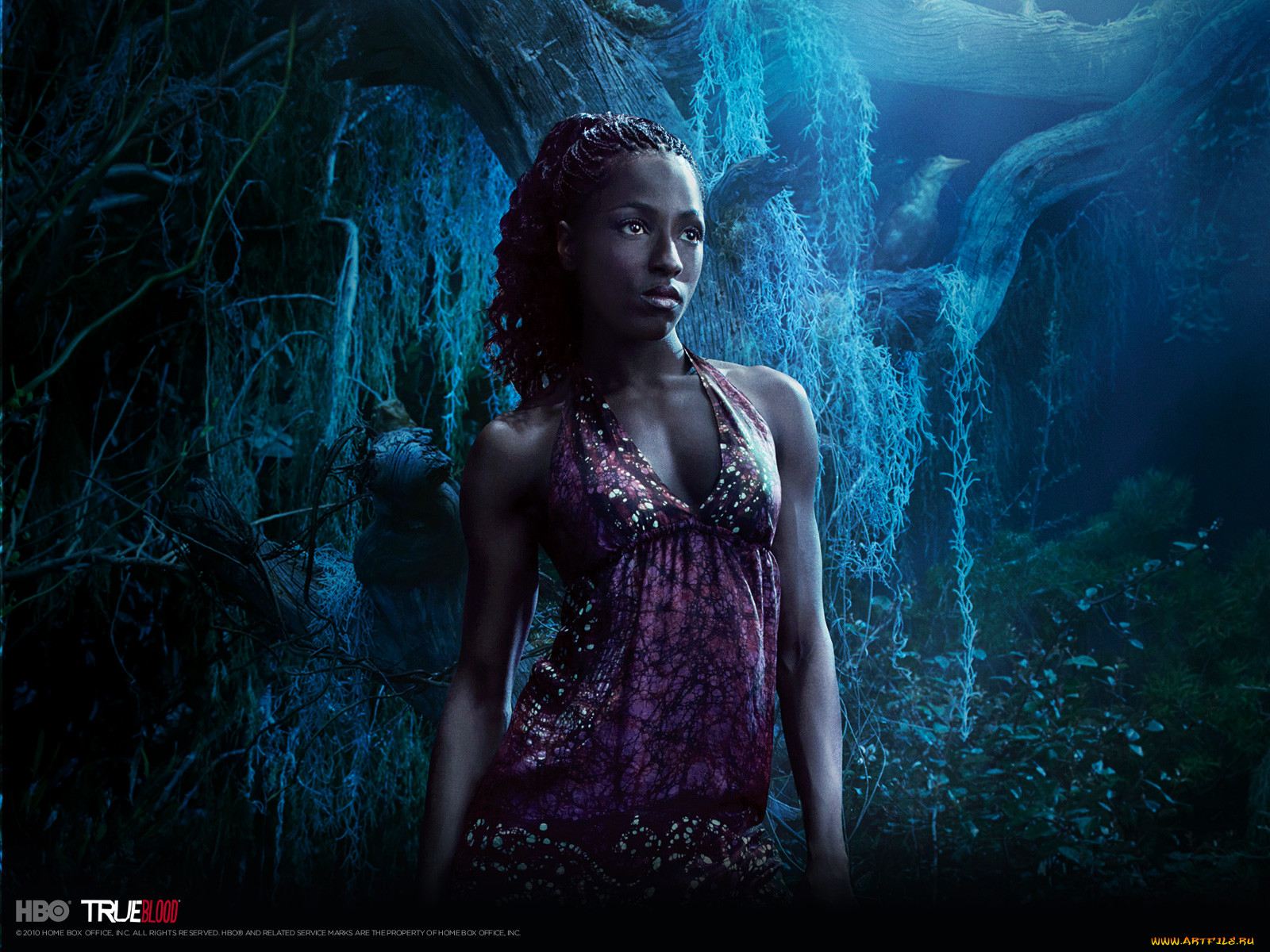 true, blood, , 